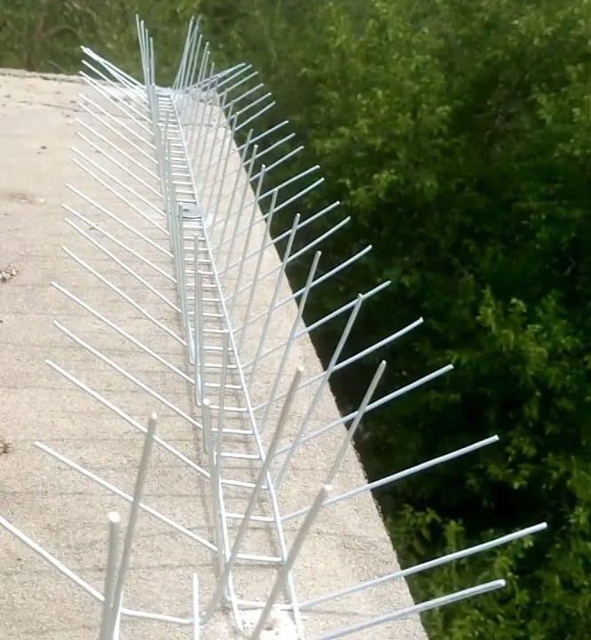Instalación de pinchos anti-palomas